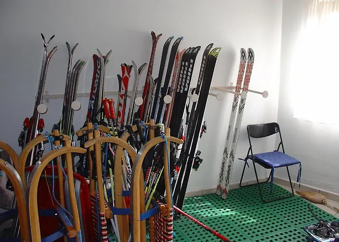 罗斯西之家酒店 斯拉德明